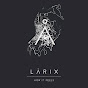 Larix Δ Music logo