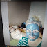 T01Jv8i4DYY-channel-avatar-Franta Jansky