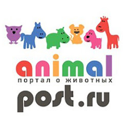 Animal Post channel logo