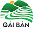 tEMenfNY7vo-channel-avatar-GÁI BẢN
