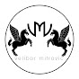 Velibor Mitrovic logo