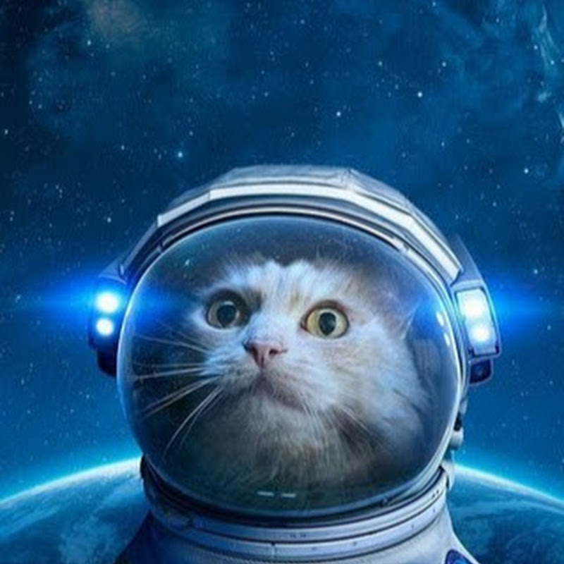 Александр Киреев Logo