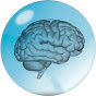 The Brainclinics Foundation logo