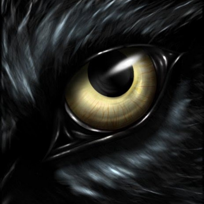 Sadraven1