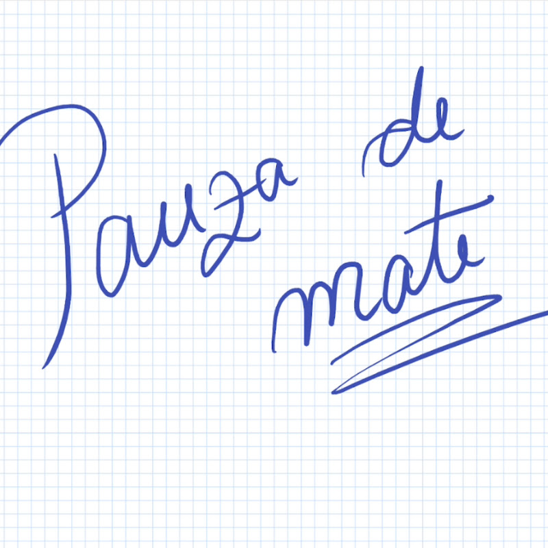 Pauza de Mate