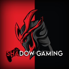 Shadow Gaming net worth