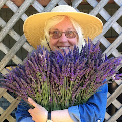 Susan Harrington - Growing Lavender net worth