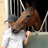 wfuU2dJtpl4-channel-avatar-Alex Ridgeway Farrier