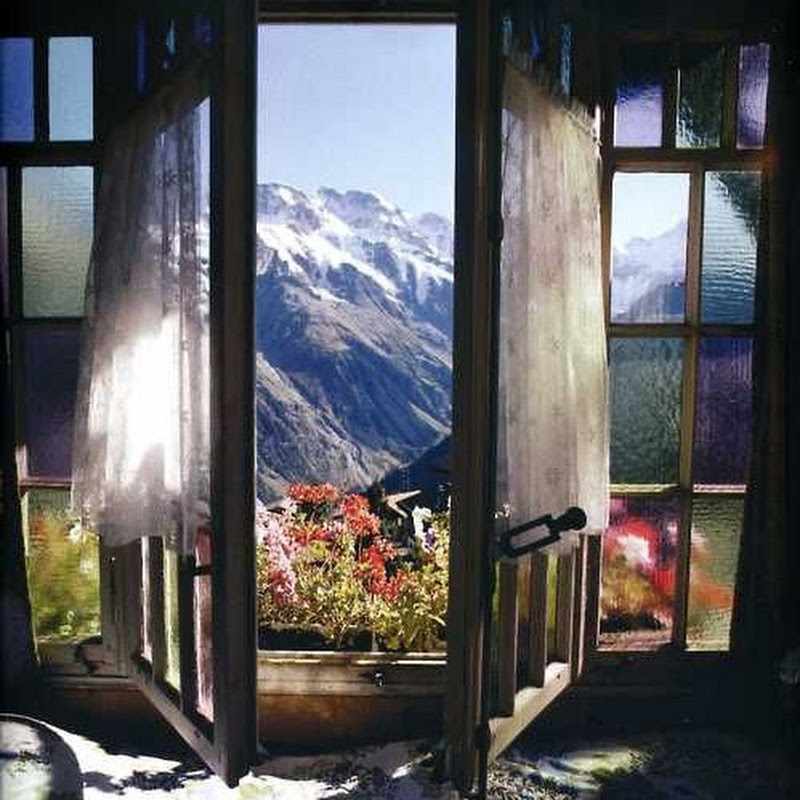 Hotel Des Alpes
