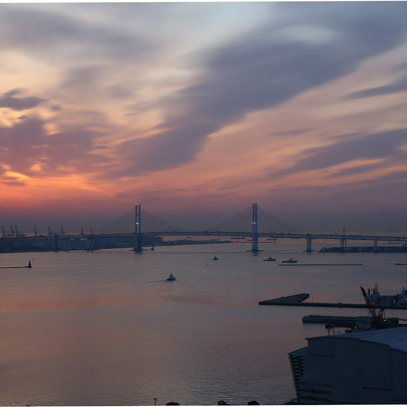 横浜港ライブカメラ thumbnail