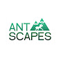 AntScapes
