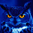 Channel Image