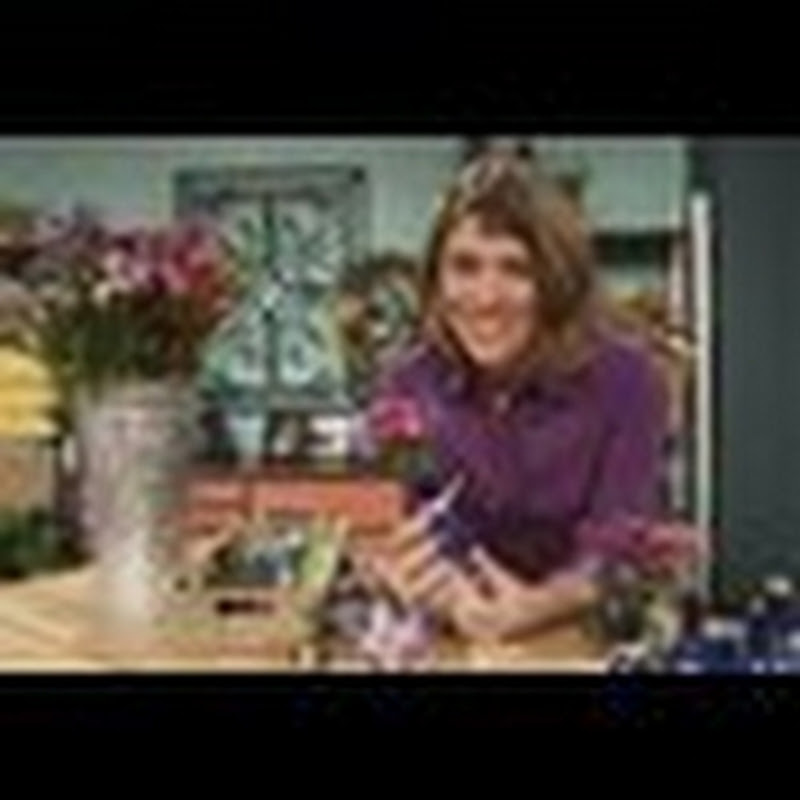 homestylist