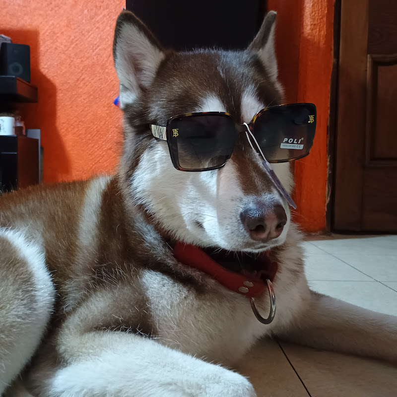 Fernando García (linkiapo)