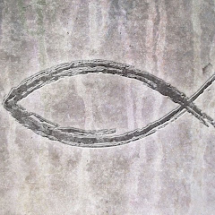 Revelinio Stuart Avatar