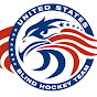 US Blind Hockey Team logo