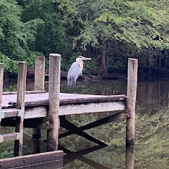 Honey Creek Fishing