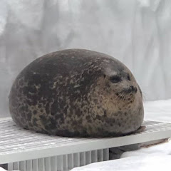 かいご