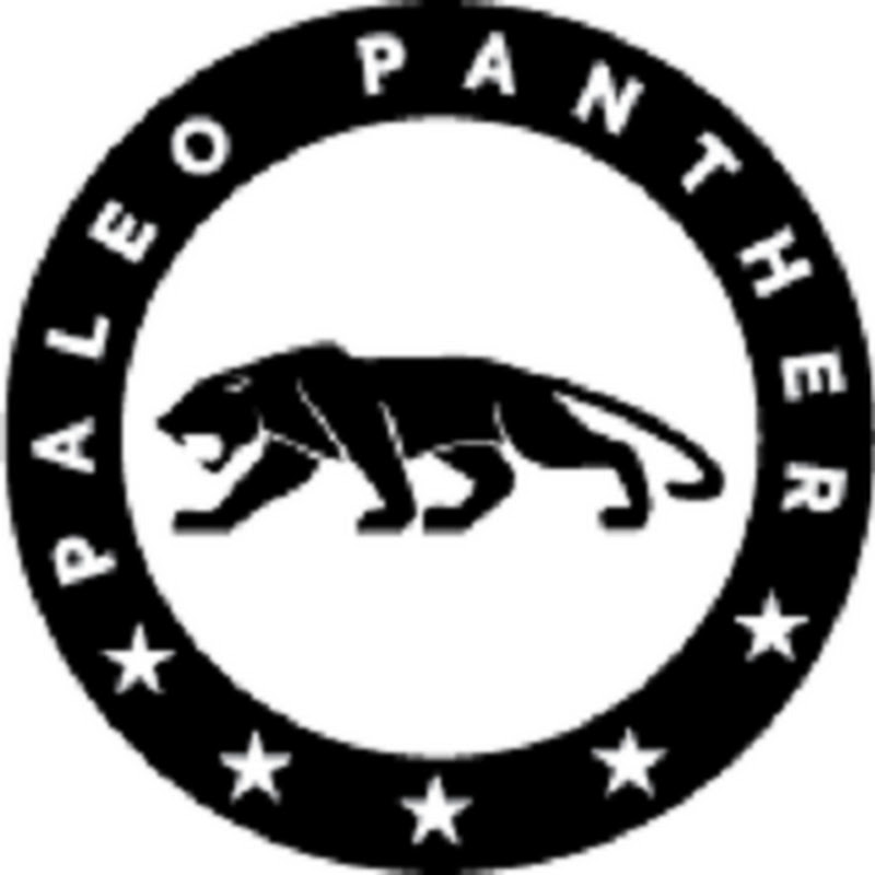 Paleo Panther
