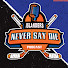awAhf5a49IY-channel-avatar-Islanders Never Say Die Podcast