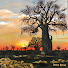 dIuVkC5sygU-channel-avatar-Daniel Botha