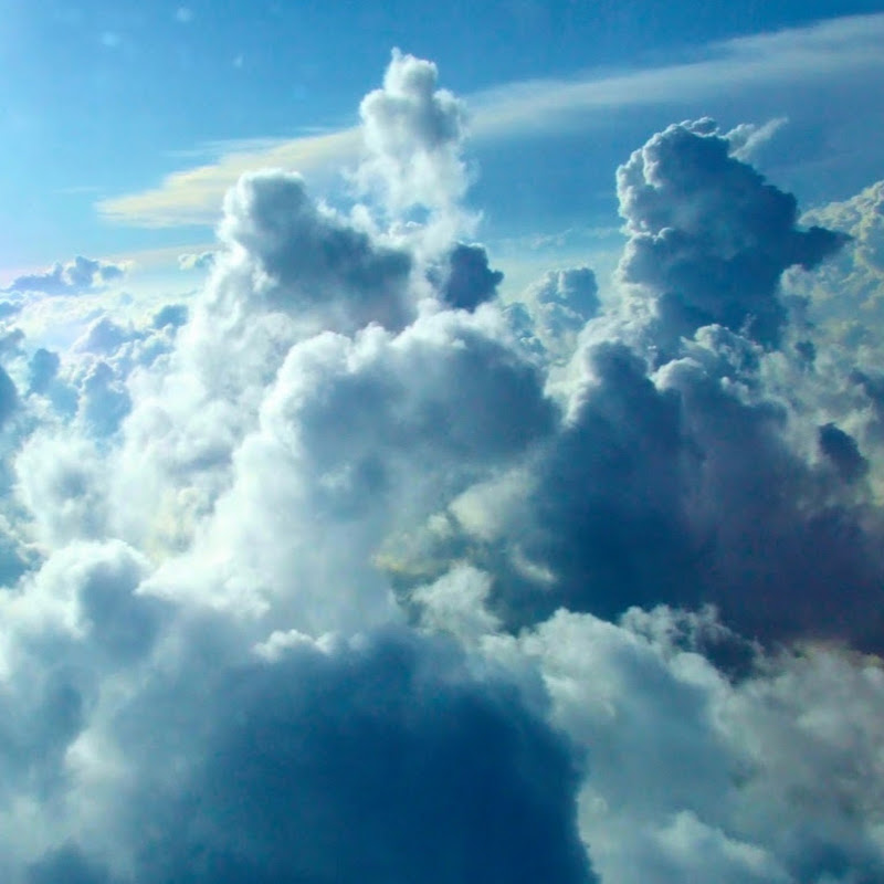 Richest World Dreams