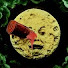 wMTvSOfDR2s-channel-avatar-Film4All