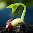 14eke2G2KGA-channel-avatar-The Unweeded Garden