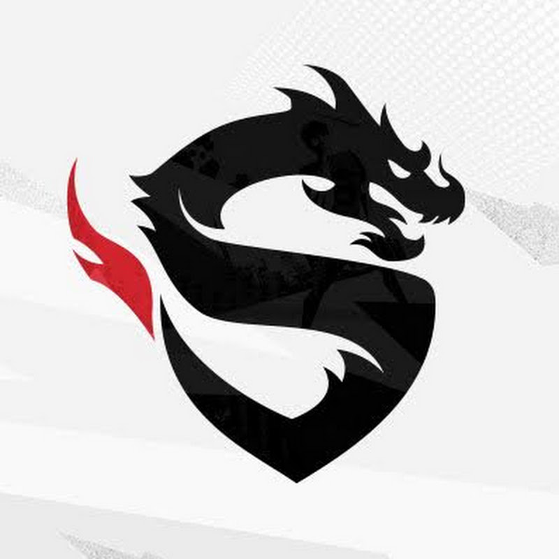 Shanghai Dragons