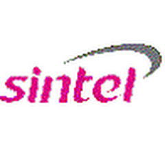 Sintel IT srl