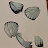 @legainnamchyo4836 Avatar
