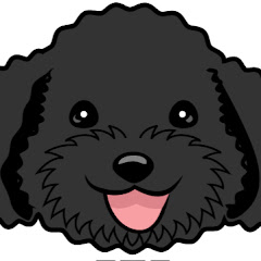 こうちゃん