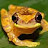@middle-aged-herpers's avatar