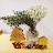 @올리브숲