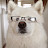 @deathman020's avatar