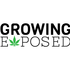 Growing Exposed Avatar