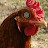 @irongeek4182's avatar