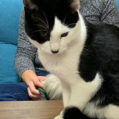 あ。