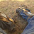 @masverde2554 Avatar