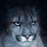 gLMnWxw1Qpg-channel-avatar-Voodoo Child
