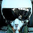 @airforcex9412's avatar