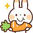 kwWBiFypvYg-channel-avatar-うさぎニンジン