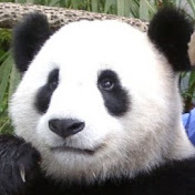 njpandahugger