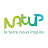 NatUp