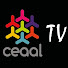 JuDL7MXUuI8-channel-avatar-CEAAL tv