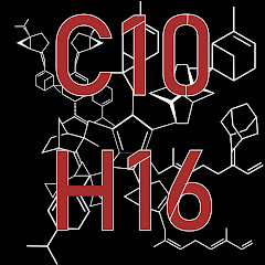 C10H16