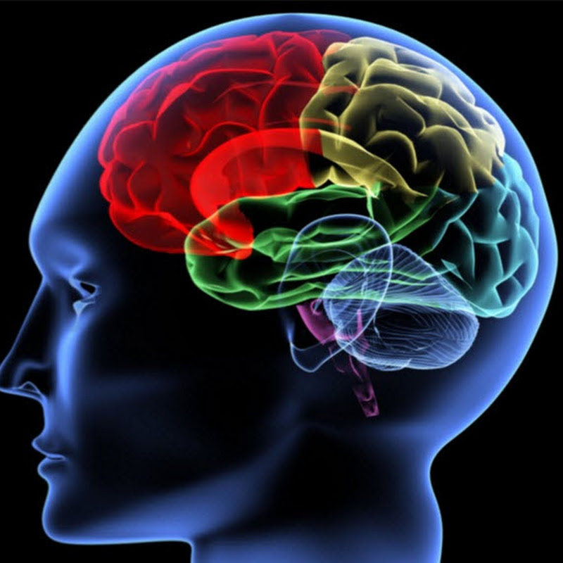 Stop Frying Your Brain