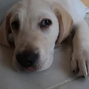 ワンハウス / One House