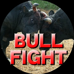 BULLFIGHT屋良闘牛ビデオ