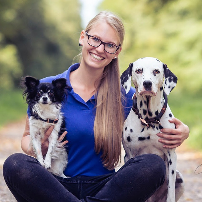 Clara Pinselpfote (La Vida Colorista)